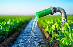 PVC profile plant